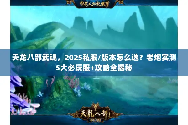 天龙八部武魂,2025私服/版本怎么选?老炮实测5大必玩服+攻略全揭秘 天龙八部武魂,2025私服/版本怎么选?老炮实测5大必玩服+攻略全揭秘