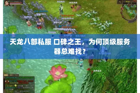 天龙八部私服 口碑之王,为何顶级服务器总难找? 天龙八部私服 口碑之王,为何顶级服务器总难找?