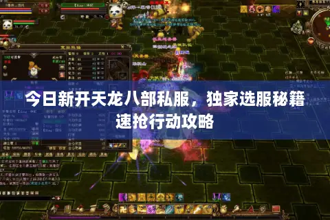 今日新开天龙八部私服,独家选服秘籍速抢行动攻略 今日新开天龙八部私服,独家选服秘籍速抢行动攻略