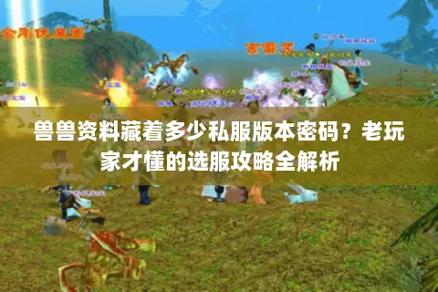 兽兽资料藏着多少私服版本密码?老玩家才懂的选服攻略全解析 兽兽资料藏着多少私服版本密码?老玩家才懂的选服攻略全解析