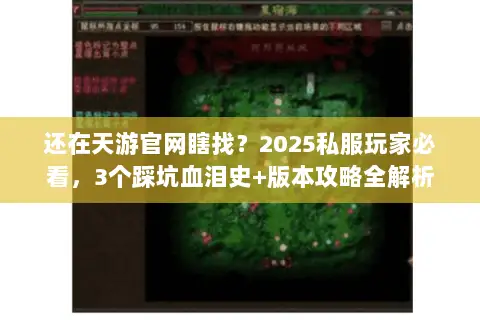 还在天游官网瞎找?2025私服玩家必看,3个踩坑血泪史+版本攻略全解析 还在天游官网瞎找?2025私服玩家必看,3个踩坑血泪史+版本攻略全解析