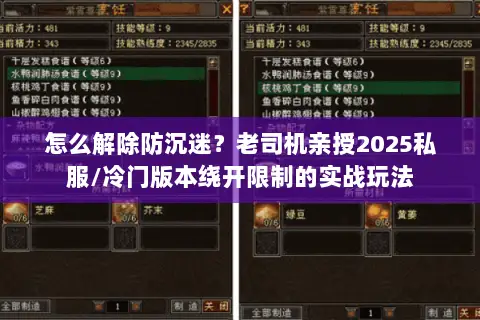 怎么解除防沉迷?老司机亲授2025私服/冷门版本绕开限制的实战玩法 怎么解除防沉迷?老司机亲授2025私服/冷门版本绕开限制的实战玩法