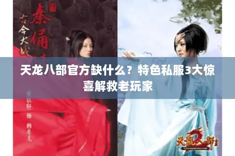 天龙八部官方缺什么?特色私服3大惊喜解救老玩家 天龙八部官方缺什么?特色私服3大惊喜解救老玩家
