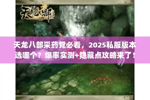 天龙八部采药党必看,2025私服版本选哪个?爆率实测+隐藏点攻略来了! 天龙八部采药党必看,2025私服版本选哪个?爆率实测+隐藏点攻略来了!
