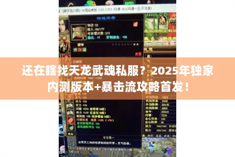 还在瞎找天龙武魂私服?2025年独家内测版本+暴击流攻略首发! 还在瞎找天龙武魂私服?2025年独家内测版本+暴击流攻略首发!