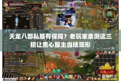 天龙八部私服有保障?老玩家亲测这三招让黑心服主当场现形 天龙八部私服有保障?老玩家亲测这三招让黑心服主当场现形
