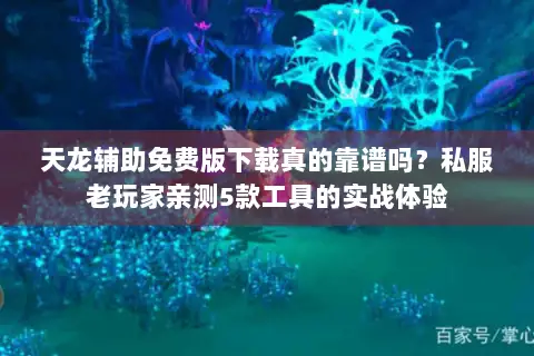 天龙辅助免费版下载真的靠谱吗?私服老玩家亲测5款工具的实战体验 天龙辅助免费版下载真的靠谱吗?私服老玩家亲测5款工具的实战体验