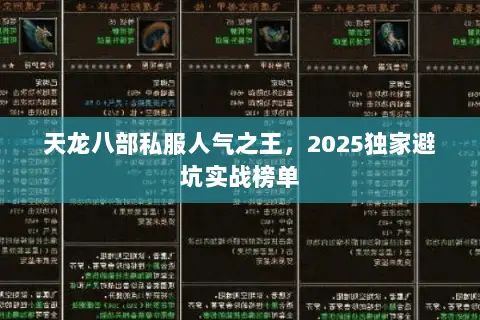 天龙八部私服人气之王，2025独家避坑实战榜单