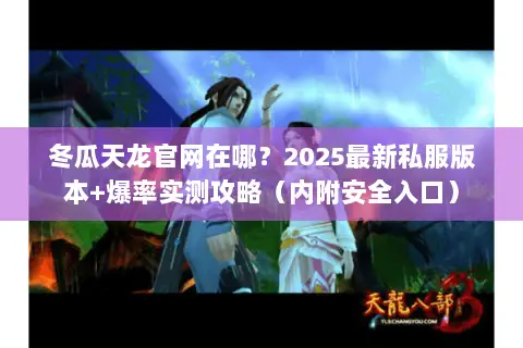 冬瓜天龙官网在哪？2025最新私服版本+爆率实测攻略（内附安全入口）
