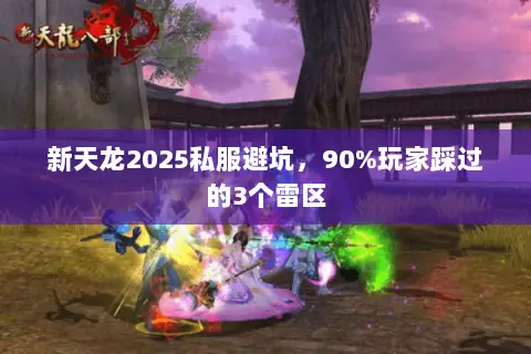 新天龙2025私服避坑，90%玩家踩过的3个雷区