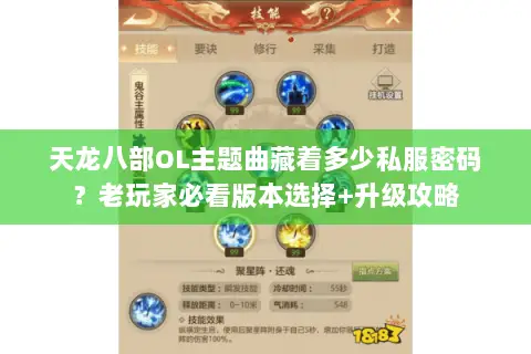 天龙八部OL主题曲藏着多少私服密码?老玩家必看版本选择+升级攻略 天龙八部OL主题曲藏着多少私服密码?老玩家必看版本选择+升级攻略