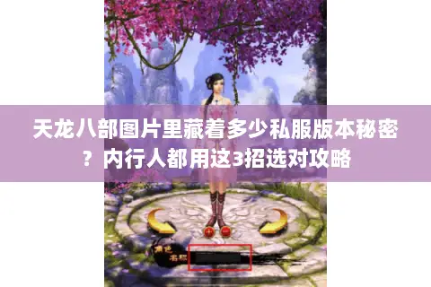 天龙八部图片里藏着多少私服版本秘密?内行人都用这3招选对攻略 天龙八部图片里藏着多少私服版本秘密?内行人都用这3招选对攻略
