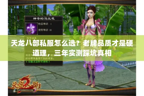 天龙八部私服怎么选?老牌品质才是硬道理,三年实测踩坑真相 天龙八部私服怎么选?老牌品质才是硬道理,三年实测踩坑真相