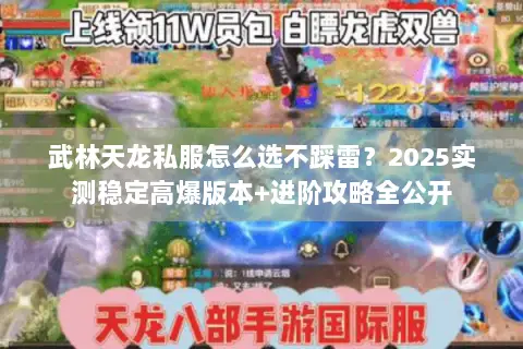 武林天龙私服怎么选不踩雷?2025实测稳定高爆版本+进阶攻略全公开 武林天龙私服怎么选不踩雷?2025实测稳定高爆版本+进阶攻略全公开