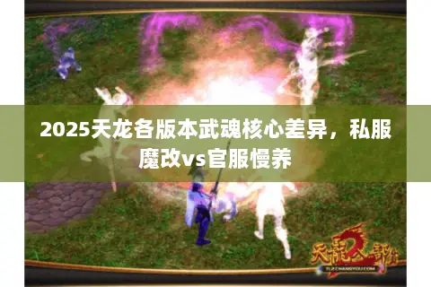 2025天龙各版本武魂核心差异,私服魔改vs官服慢养 2025天龙各版本武魂核心差异,私服魔改vs官服慢养