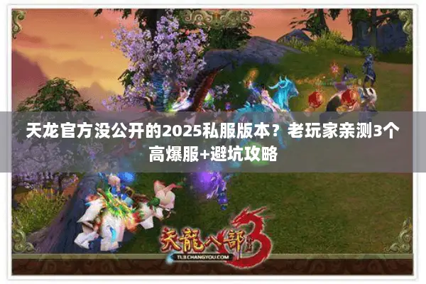 天龙官方没公开的2025私服版本?老玩家亲测3个高爆服+避坑攻略 天龙官方没公开的2025私服版本?老玩家亲测3个高爆服+避坑攻略