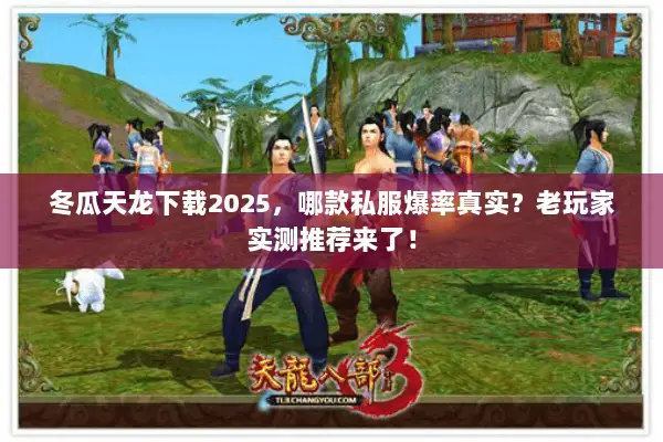 冬瓜天龙下载2025,哪款私服爆率真实?老玩家实测推荐来了! 冬瓜天龙下载2025,哪款私服爆率真实?老玩家实测推荐来了!