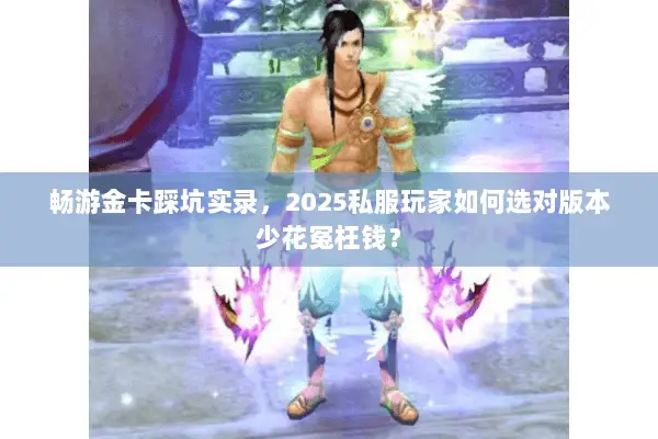 畅游金卡踩坑实录，2025私服玩家如何选对版本少花冤枉钱？