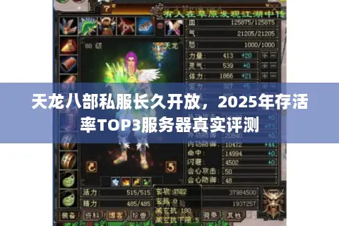 天龙八部私服长久开放,2025年存活率TOP3服务器真实评测 天龙八部私服长久开放,2025年存活率TOP3服务器真实评测