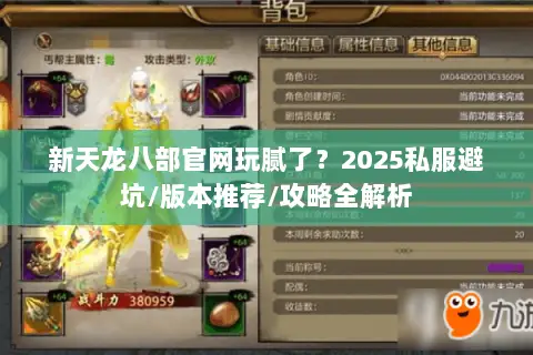 新天龙八部官网玩腻了？2025私服避坑/版本推荐/攻略全解析