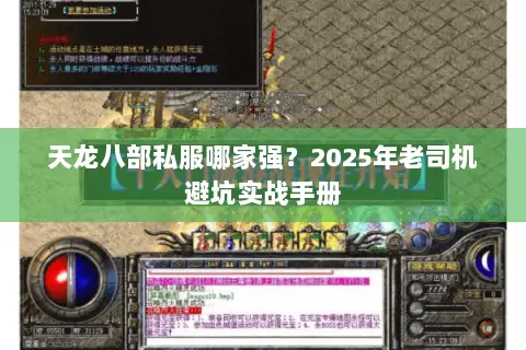 天龙八部私服哪家强?2025年老司机避坑实战手册 天龙八部私服哪家强?2025年老司机避坑实战手册