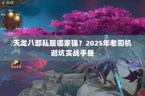 天龙八部私服哪家强?2025年老司机避坑实战手册 天龙八部私服哪家强?2025年老司机避坑实战手册