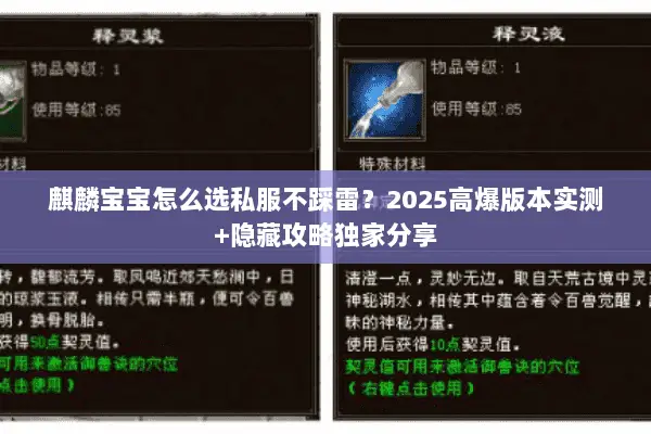 麒麟宝宝怎么选私服不踩雷?2025高爆版本实测+隐藏攻略独家分享 麒麟宝宝怎么选私服不踩雷?2025高爆版本实测+隐藏攻略独家分享