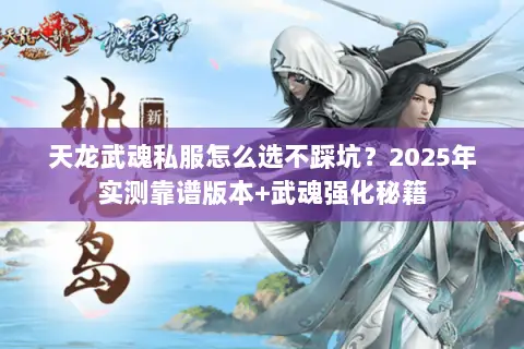 天龙武魂私服怎么选不踩坑？2025年实测靠谱版本+武魂强化秘籍