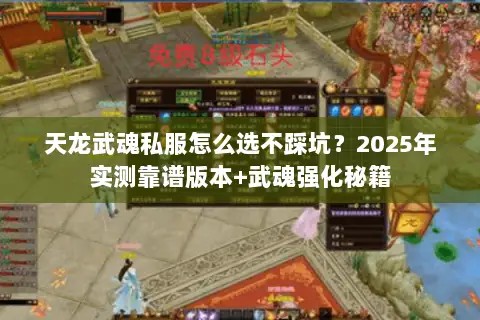 天龙武魂私服怎么选不踩坑？2025年实测靠谱版本+武魂强化秘籍