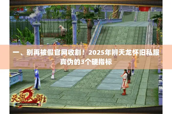 一、别再被假官网收割！2025年辨天龙怀旧私服真伪的3个硬指标