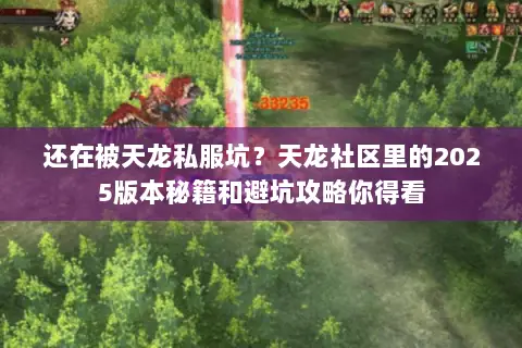 还在被天龙私服坑？天龙社区里的2025版本秘籍和避坑攻略你得看