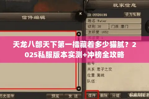 天龙八部天下第一擂藏着多少猫腻?2025私服版本实测+冲榜全攻略 天龙八部天下第一擂藏着多少猫腻?2025私服版本实测+冲榜全攻略