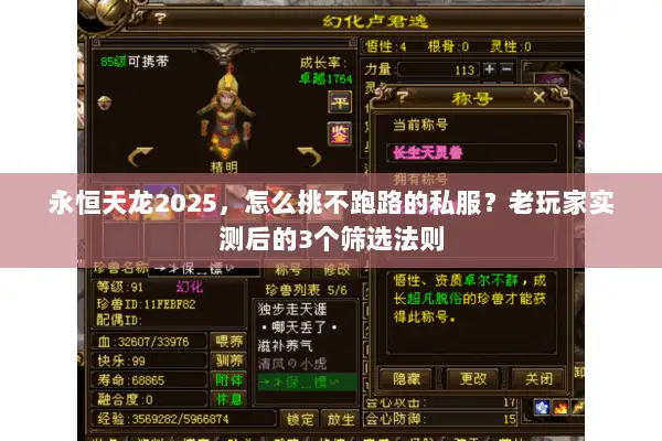 永恒天龙2025,怎么挑不跑路的私服?老玩家实测后的3个筛选法则 永恒天龙2025,怎么挑不跑路的私服?老玩家实测后的3个筛选法则