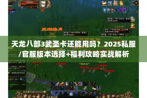 天龙八部3武圣卡还能用吗?2025私服/官服版本选择+福利攻略实战解析 天龙八部3武圣卡还能用吗?2025私服/官服版本选择+福利攻略实战解析