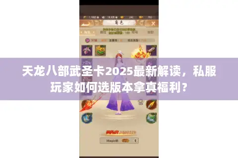 天龙八部武圣卡2025最新解读，私服玩家如何选版本拿真福利？