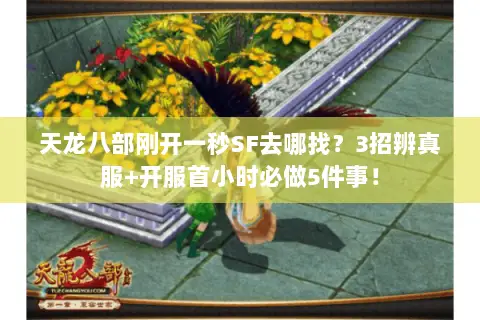 天龙八部刚开一秒SF去哪找?3招辨真服+开服首小时必做5件事! 天龙八部刚开一秒SF去哪找?3招辨真服+开服首小时必做5件事!