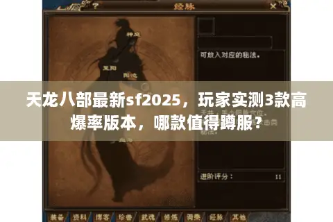 天龙八部最新sf2025,玩家实测3款高爆率版本,哪款值得蹲服? 天龙八部最新sf2025,玩家实测3款高爆率版本,哪款值得蹲服?