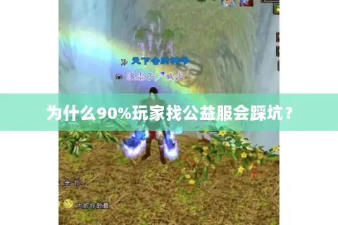 为什么90%玩家找公益服会踩坑? 为什么90%玩家找公益服会踩坑?