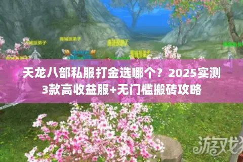 天龙八部私服打金选哪个?2025实测3款高收益服+无门槛搬砖攻略 天龙八部私服打金选哪个?2025实测3款高收益服+无门槛搬砖攻略