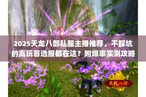 2025天龙八部私服主播推荐,不踩坑的高玩首选服都在这?附爆率实测攻略 2025天龙八部私服主播推荐,不踩坑的高玩首选服都在这?附爆率实测攻略