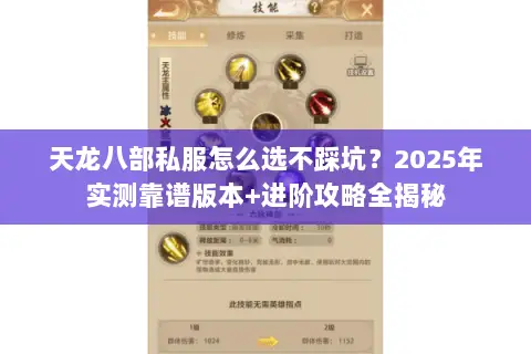 天龙八部私服怎么选不踩坑？2025年实测靠谱版本+进阶攻略全揭秘