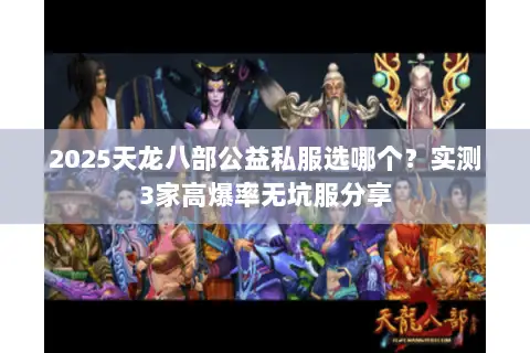 2025天龙八部公益私服选哪个？实测3家高爆率无坑服分享