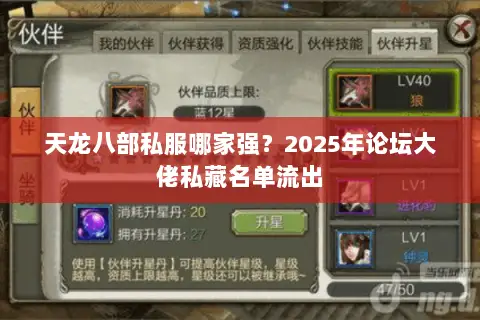 天龙八部私服哪家强?2025年论坛大佬私藏名单流出 天龙八部私服哪家强?2025年论坛大佬私藏名单流出