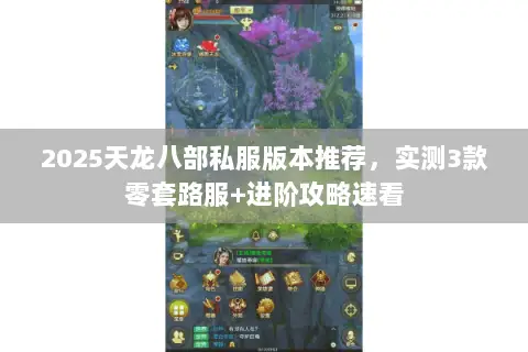 2025天龙八部私服版本推荐,实测3款零套路服+进阶攻略速看 2025天龙八部私服版本推荐,实测3款零套路服+进阶攻略速看