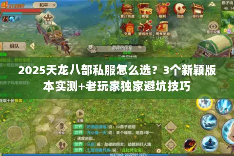 2025天龙八部私服怎么选？3个新颖版本实测+老玩家独家避坑技巧