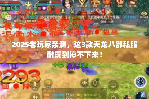 2025老玩家亲测，这3款天龙八部私服耐玩到停不下来！