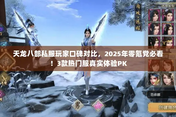 天龙八部私服玩家口碑对比，2025年零氪党必看！3款热门服真实体验PK