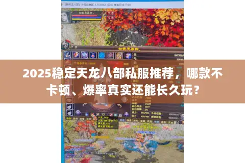 2025稳定天龙八部私服推荐，哪款不卡顿、爆率真实还能长久玩？