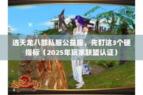 选天龙八部私服公益服,先盯这3个硬指标(2025年玩家联盟认证) 选天龙八部私服公益服,先盯这3个硬指标(2025年玩家联盟认证)