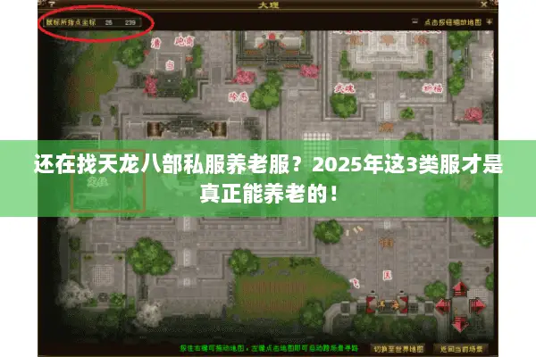 还在找天龙八部私服养老服?2025年这3类服才是真正能养老的! 还在找天龙八部私服养老服?2025年这3类服才是真正能养老的!